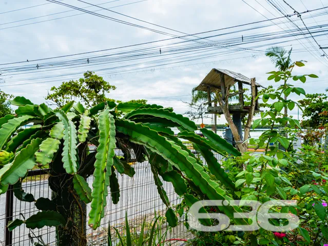Oportunidade Única! Encantadora Residência Térrea