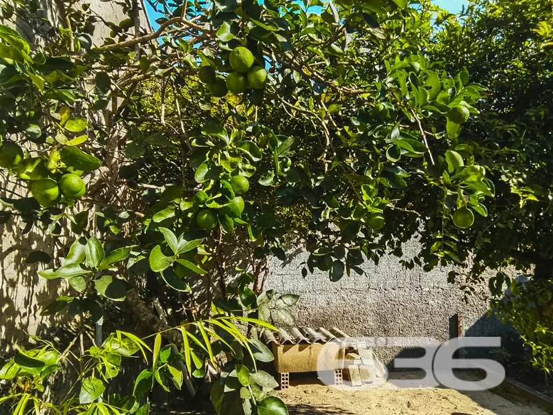 Descubra o refúgio perfeito em Balneário Barra do 