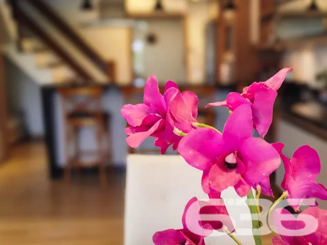 Descubra o Refúgio dos Seus Sonhos em Balneário Ba