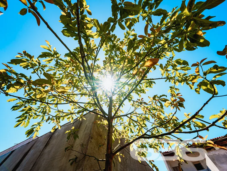 Descubra seu novo lar em Balneário Barra do Sul, S