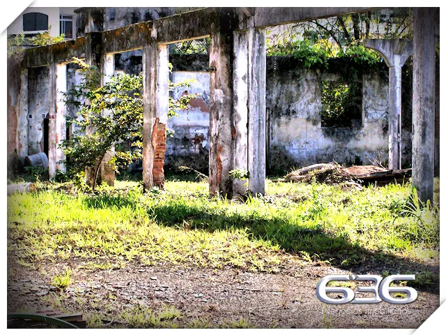 VENDE-SE AMPLO TERRENO PARA GRANDES PROJETOS NO BA