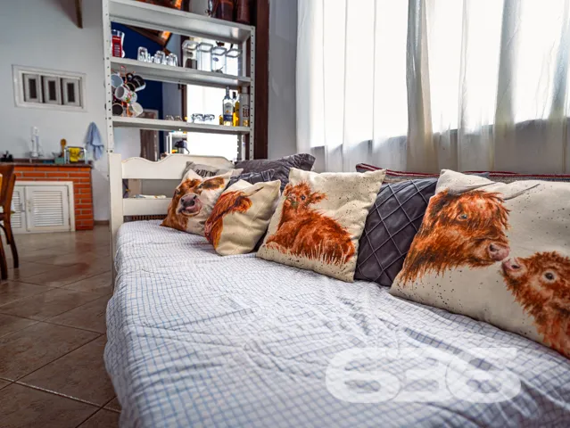 Descubra a oportunidade Ășnica de investir em um ex