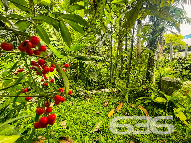 Residência Térrea no Encantador Bairro Santo Antôn