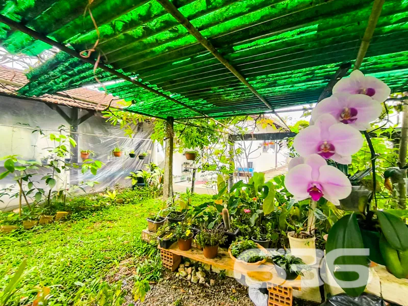 Residência Térrea no Encantador Bairro Santo Antôn