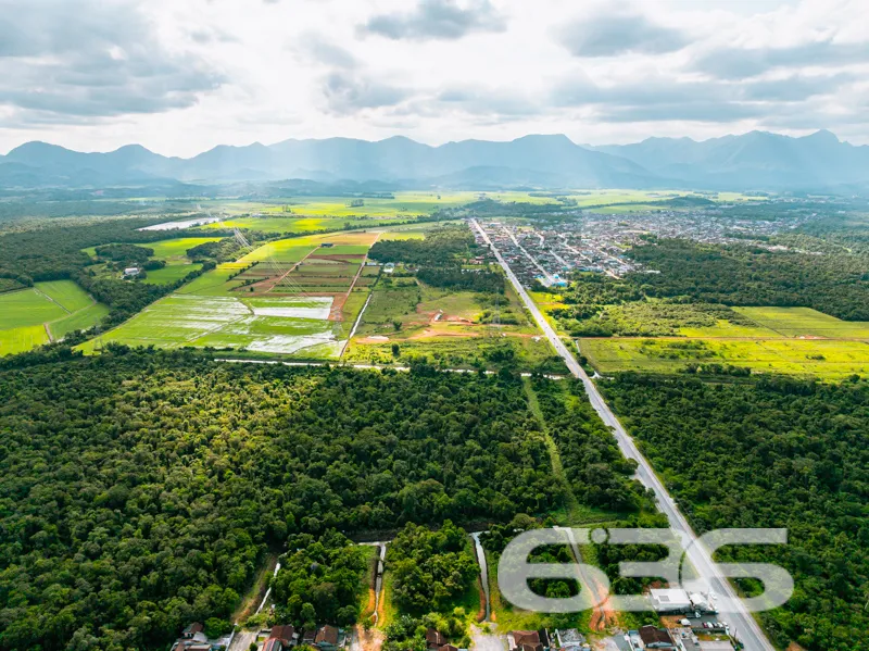 Terreno dos Seus Sonhos em Joinville - Oportunidad