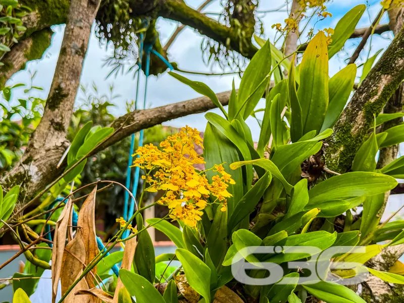 Descubra o seu novo lar localizado no coração do a