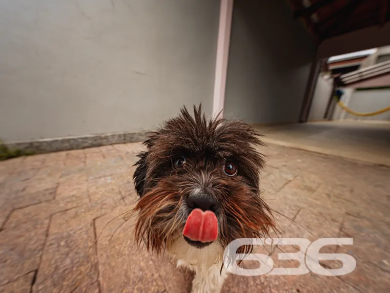 Descubra como a casa dos seus sonhos em Joinville,