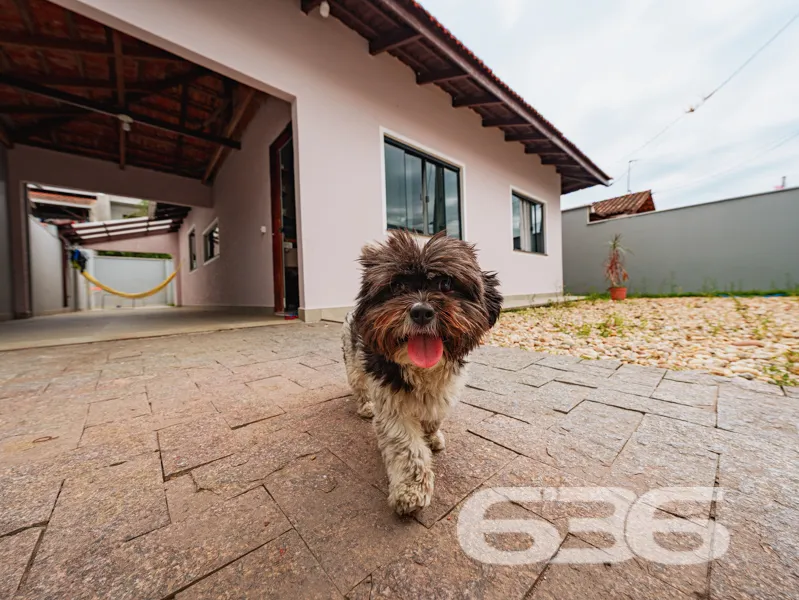 Descubra como a casa dos seus sonhos em Joinville,