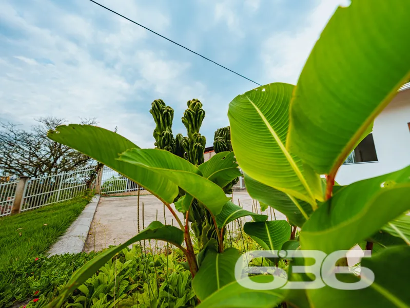 Oportunidade no Iririú: Casa térrea em terreno amp