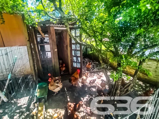 VENDE-SE IMĂVEL COM 4 DORMITĂRIOS NO BAIRRO JARIVA