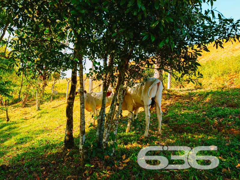 Imagine viver em um lugar onde o dia começa com o