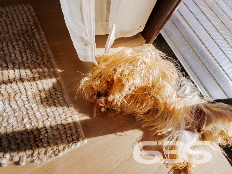 Imagine viver em um lugar onde o dia começa com o