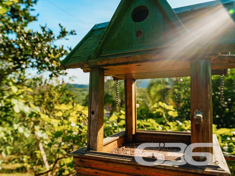 Imagine viver em um lugar onde o dia começa com o