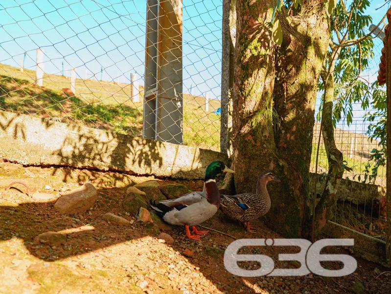 Imagine viver em um lugar onde o dia começa com o