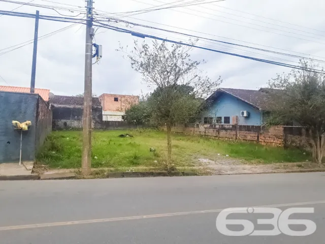 🌟 Construa Seu Futuro no Bairro Floresta, Joinvil