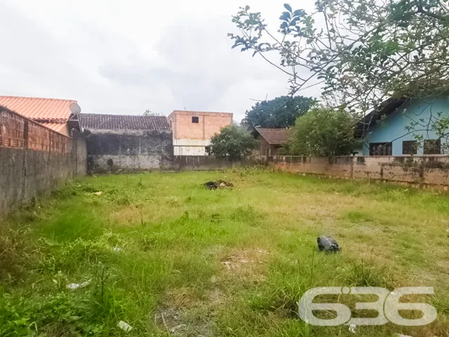 🌟 Construa Seu Futuro no Bairro Floresta, Joinvil