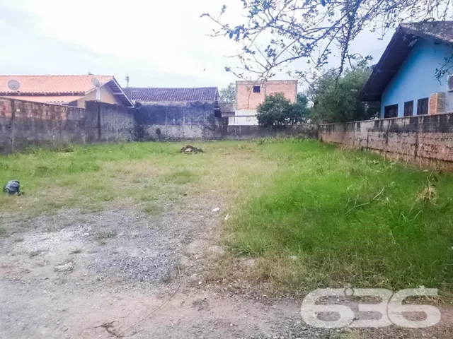 🌟 Construa Seu Futuro no Bairro Floresta, Joinvil