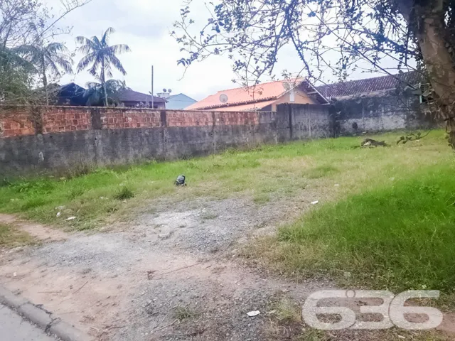 🌟 Construa Seu Futuro no Bairro Floresta, Joinvil