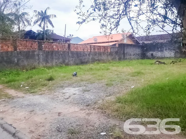 🌟 Construa Seu Futuro no Bairro Floresta, Joinvil