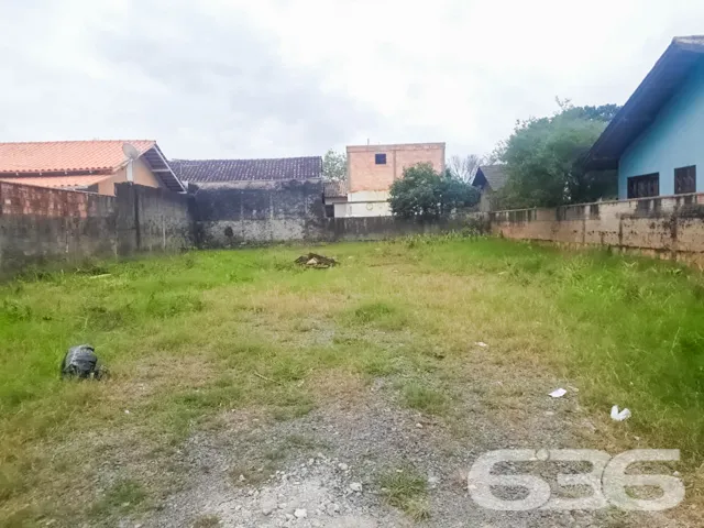 🌟 Construa Seu Futuro no Bairro Floresta, Joinvil