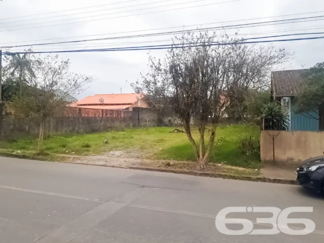 🌟 Construa Seu Futuro no Bairro Floresta, Joinvil