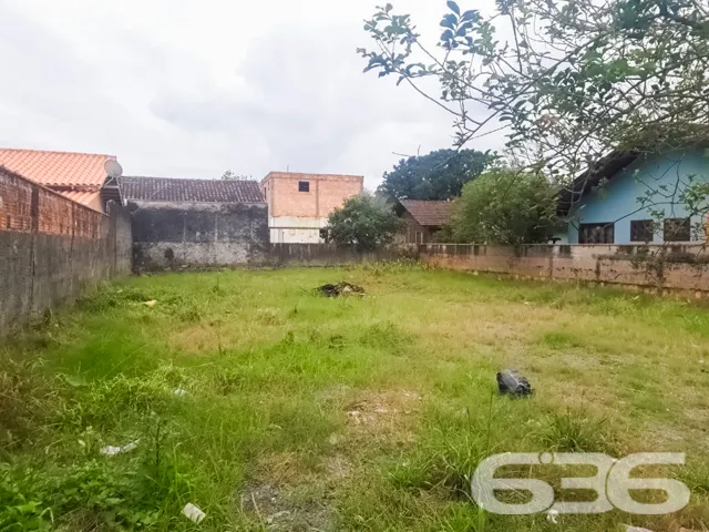 🌟 Construa Seu Futuro no Bairro Floresta, Joinvil