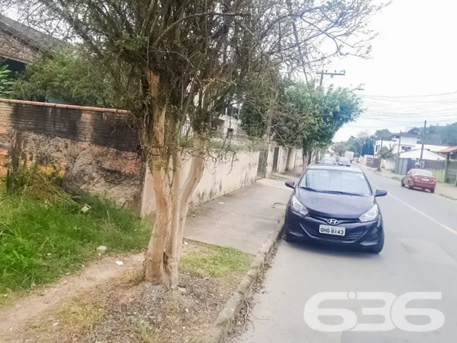 🌟 Construa Seu Futuro no Bairro Floresta, Joinvil