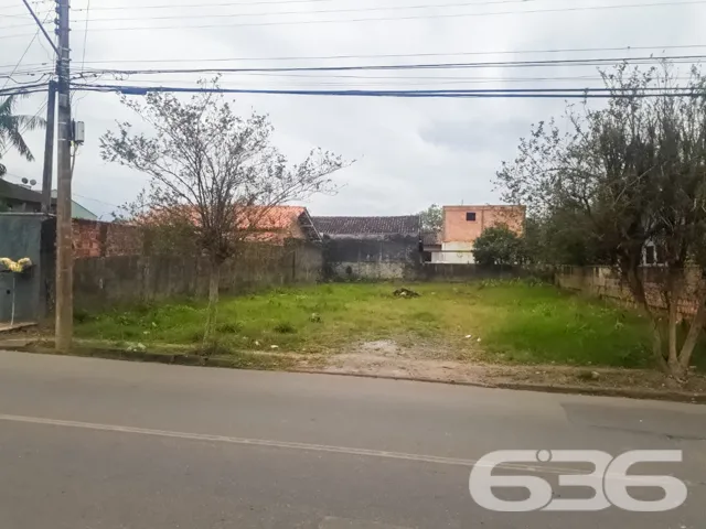 🌟 Construa Seu Futuro no Bairro Floresta, Joinvil