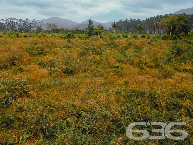 EXCELENTE TERRENO COM 7.414,84m² Ć VENDA EM ITAPOĆ