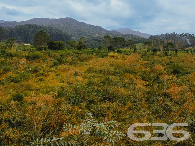 EXCELENTE TERRENO COM 7.414,84m² Ć VENDA EM ITAPOĆ