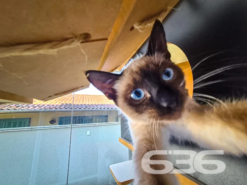 Descubra o conforto e a praticidade de viver na ex