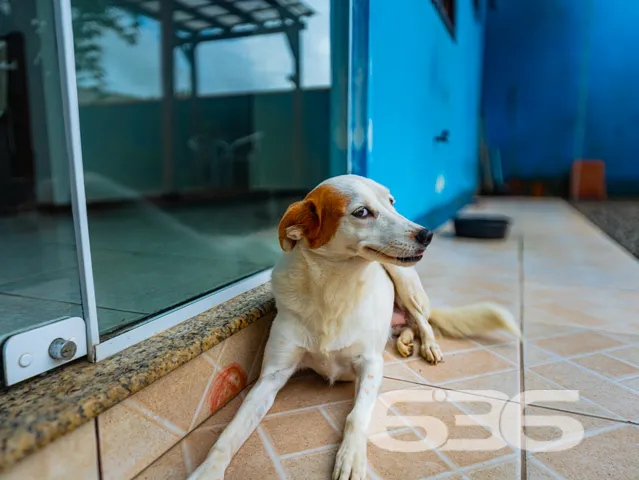 Ampla residência térrea no bairro Costa e Silva, J