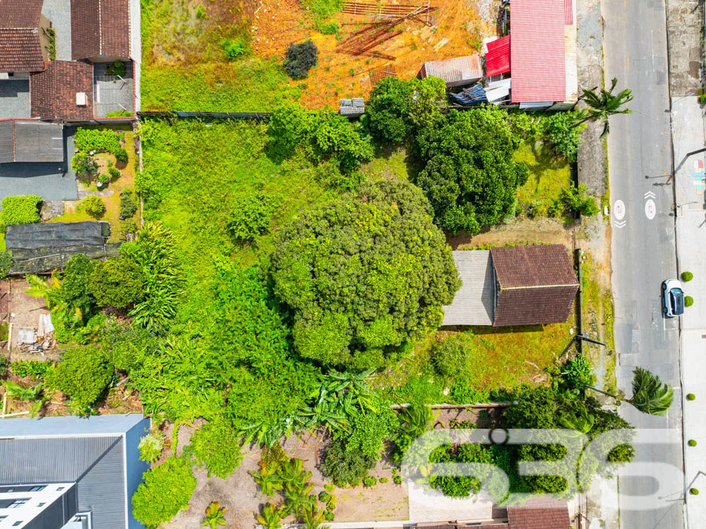 Encontre a harmonia entre a cidade e a natureza ne