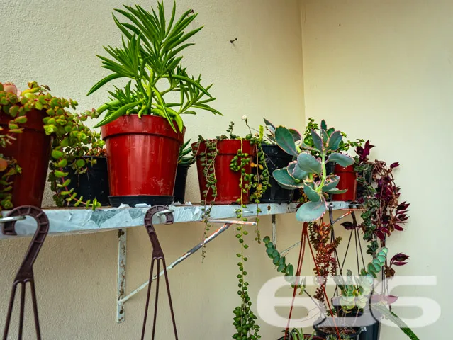 Descubra o seu próximo lar em Joinville! Este imóv