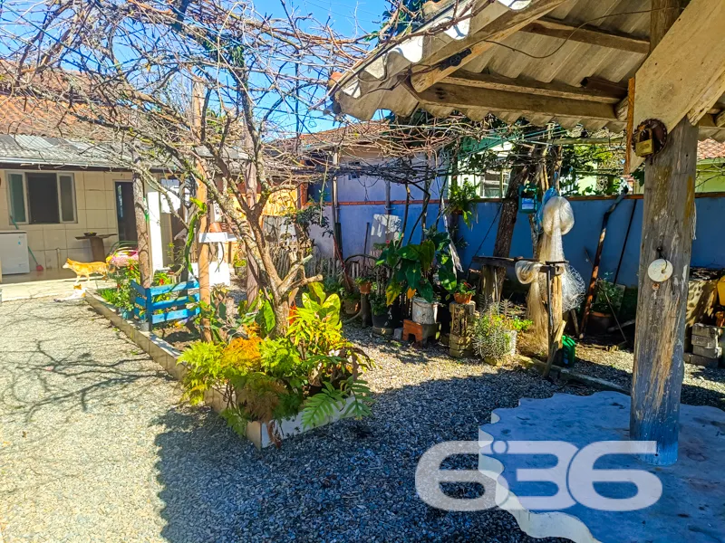 Descubra o verdadeiro significado de viver bem em