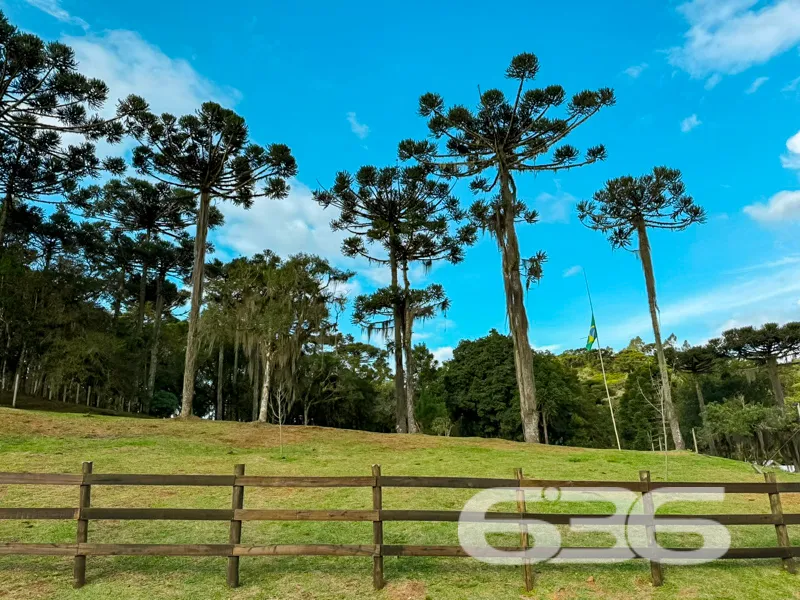 Chácara à venda em Campo Alegre SC, o refúgio idea