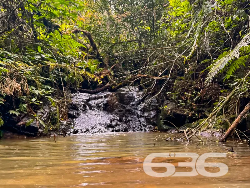Chácara à venda em Campo Alegre SC, o refúgio idea