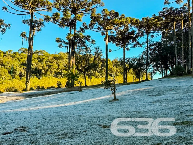 Chácara à venda em Campo Alegre SC, o refúgio idea