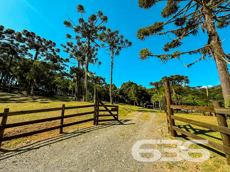 Chácara à venda em Campo Alegre SC, o refúgio idea
