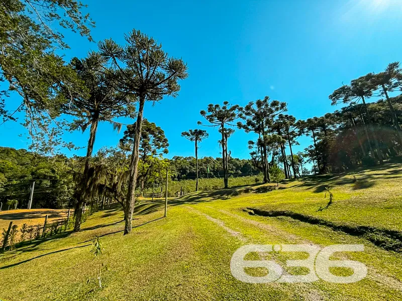 Chácara à venda em Campo Alegre SC, o refúgio idea
