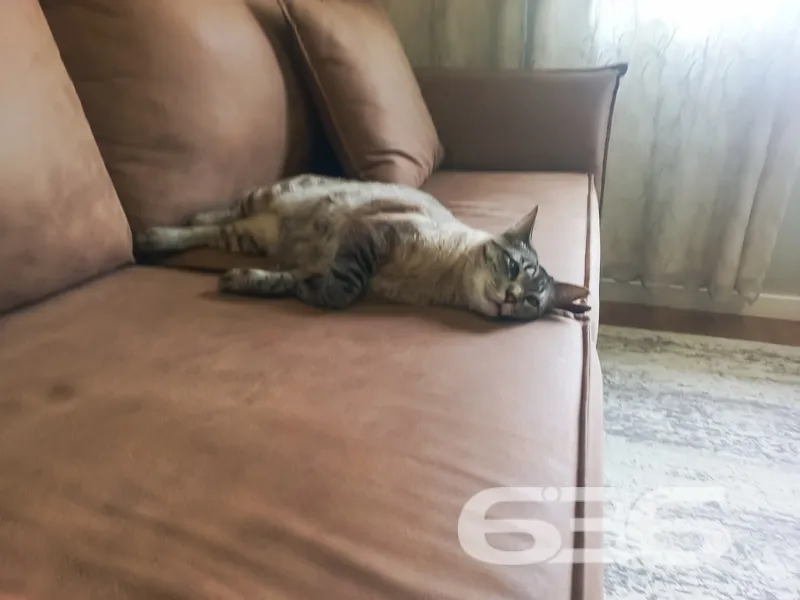 OPORTUNIDADE ÚNICA EM JOINVILLE - SOBRADO DOS SONH