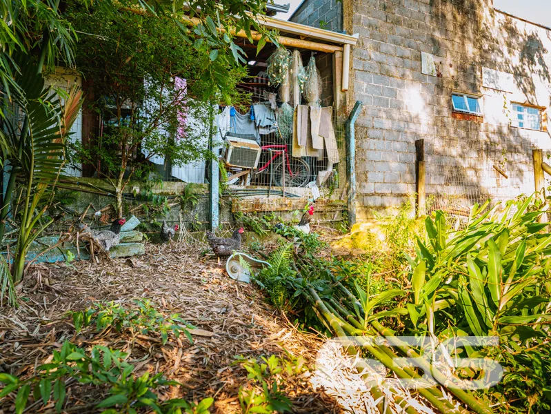 Imagine ter um refúgio em meio à natureza, em rua 