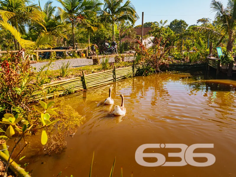 Imagine ter um refúgio em meio à natureza, em rua 