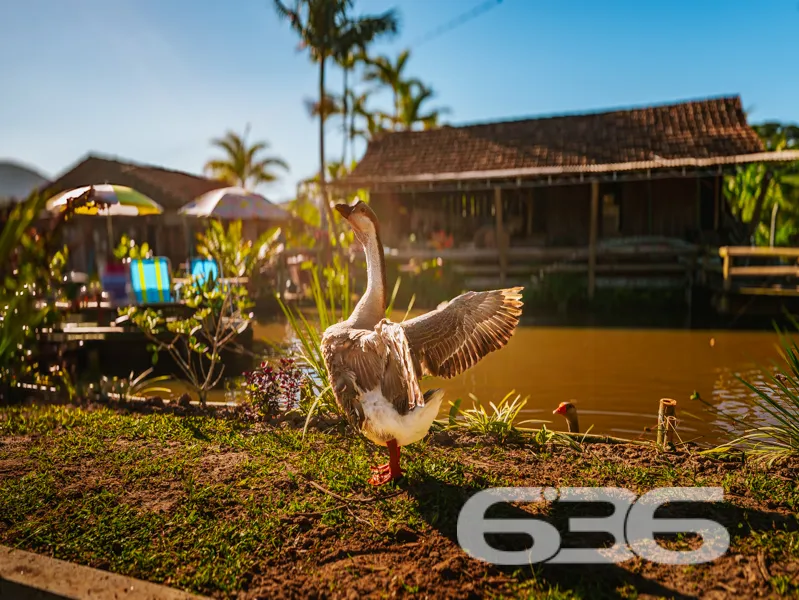 Imagine ter um refúgio em meio à natureza, em rua 