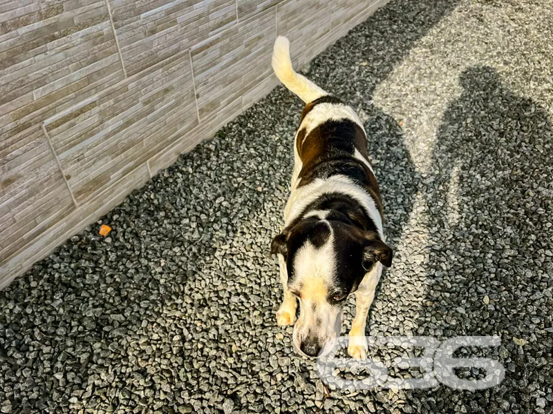 Descubra o seu refúgio dos sonhos em Joinville! Te