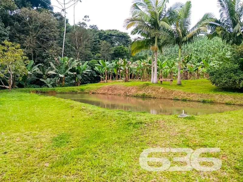 Descubra um oásis de tranquilidade e conforto em m