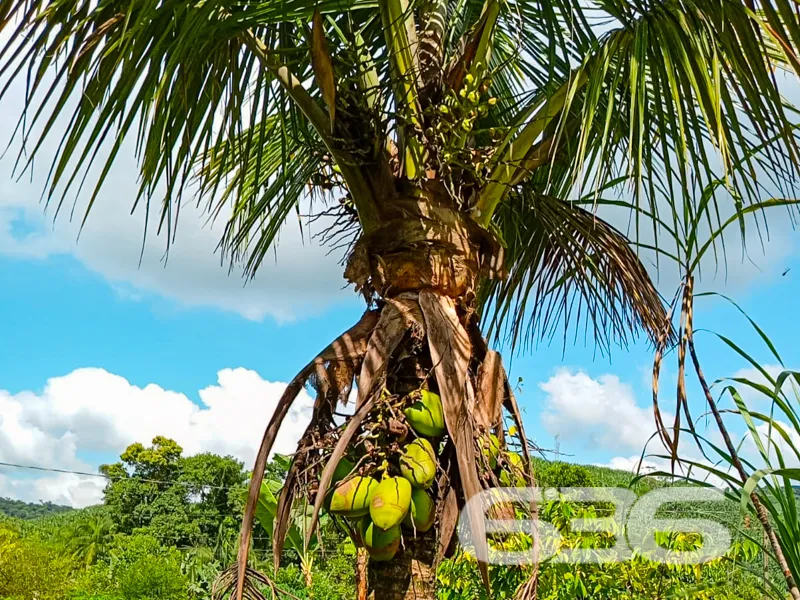 Descubra um oásis de tranquilidade e conforto em m