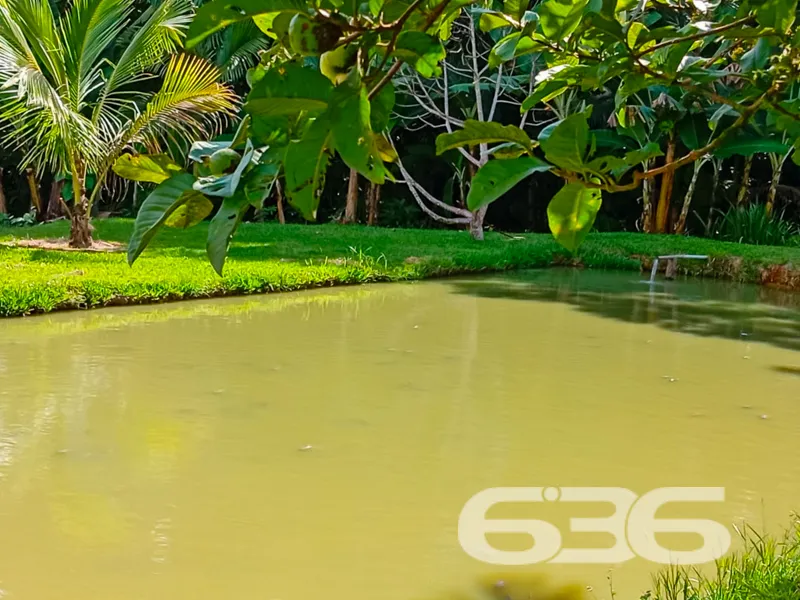 Descubra um oásis de tranquilidade e conforto em m