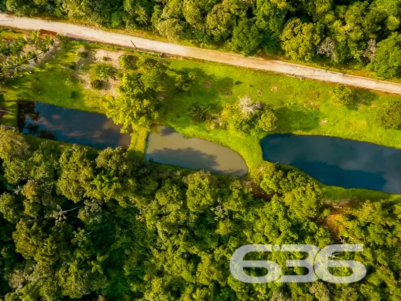 Imagine-se vivendo em um verdadeiro refúgio de tra