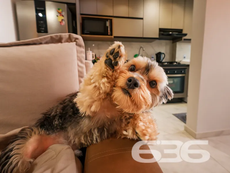 Descubra o seu novo lar no coração de Joinville! A